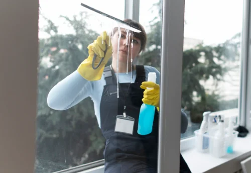 Nettoyage de vitres intérieures et extérieures à Saint-Péravy-la-Colombe